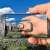 Cisco Smart Licensing Hit by Major Exploits